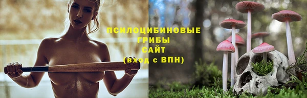 дживик Алзамай