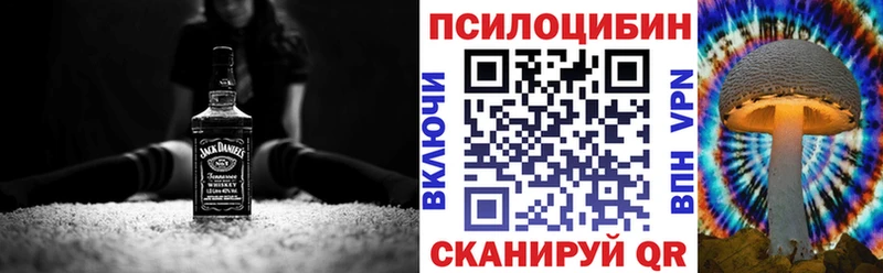 Псилоцибиновые грибы прущие грибы  Новоузенск 
